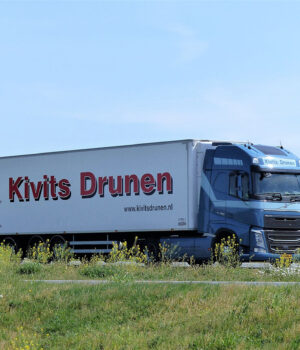 KIVITS