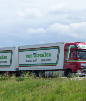 van Straalen