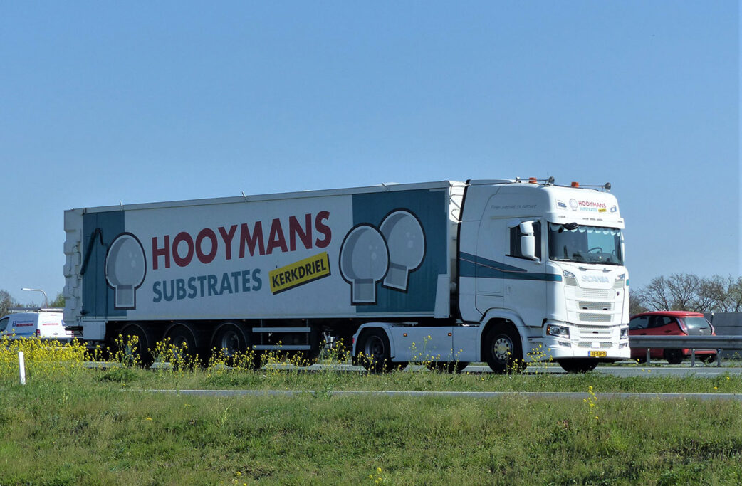 HOOYMANS