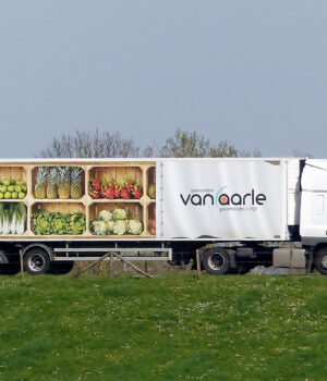 van Aarle