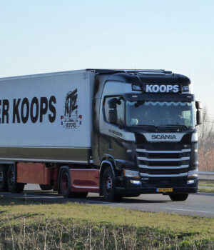 WOLTER KOOPS