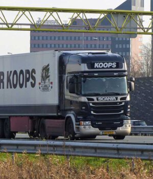 WOLTER KOOPS