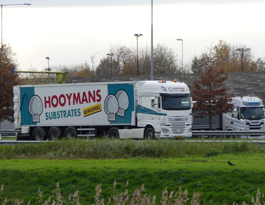 HOOYMANS