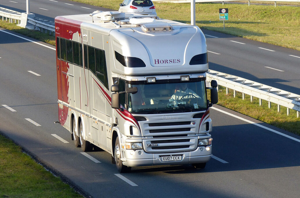 Oakley Horses transport