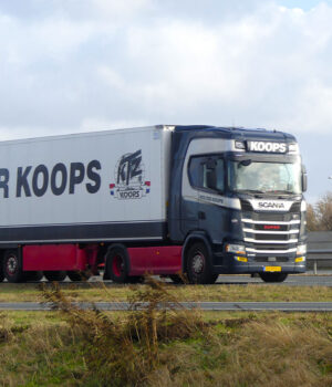 WOLTER KOOPS