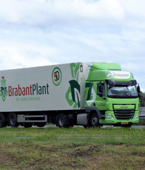 BrabantPlant