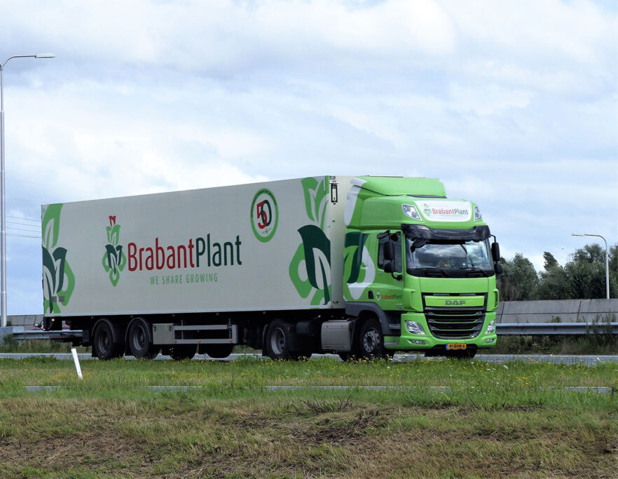 BrabantPlant