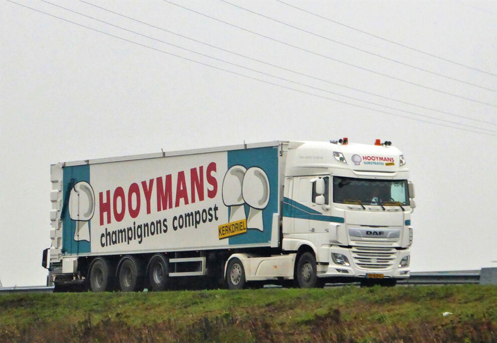 HOOYMANS