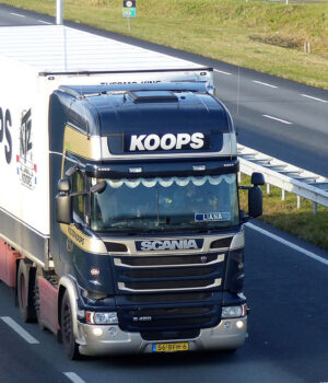 WOLTER KOOPS