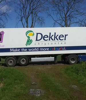 Dekker