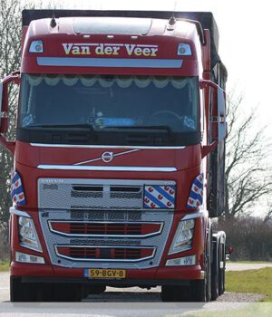 Van der Veer