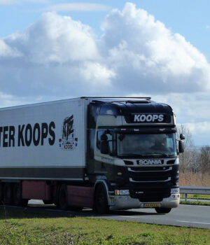 WOLTER KOOPS