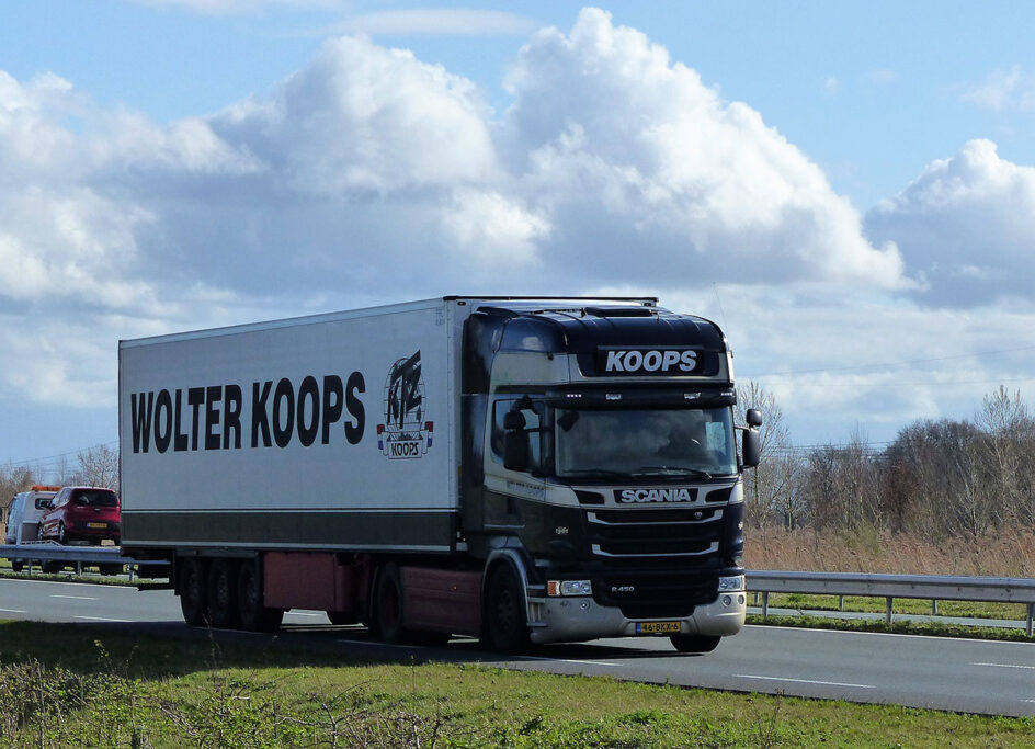 WOLTER KOOPS