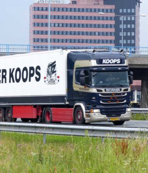 WOLTER KOOPS