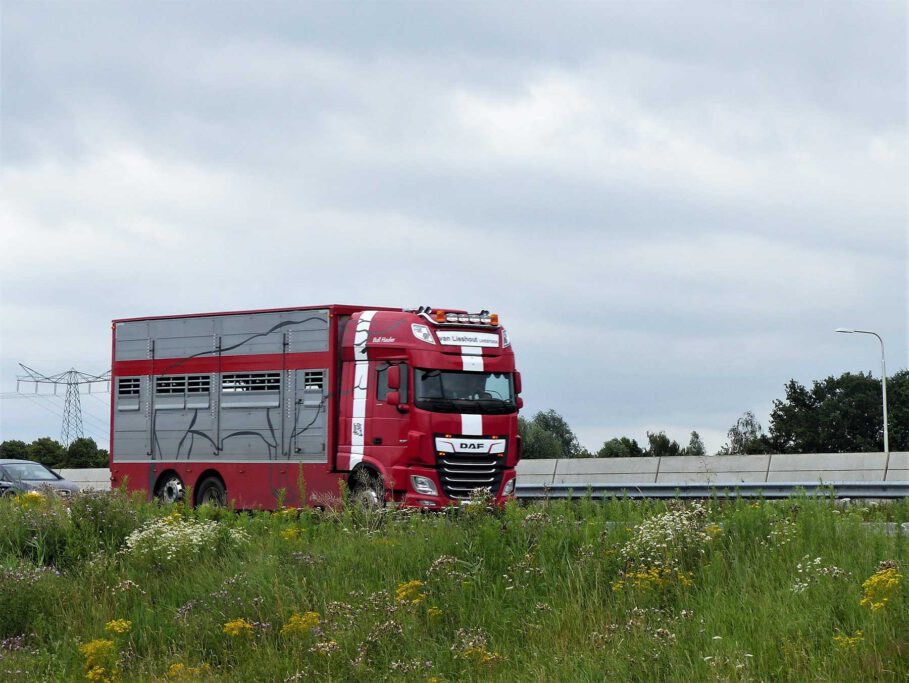 van Lieshout