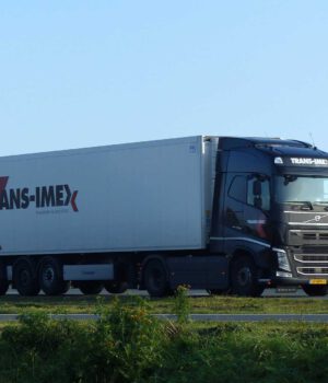 TRANS-IMEX