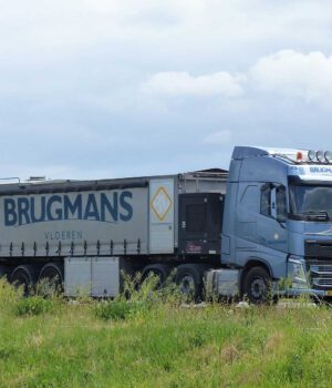 BRUGMANS